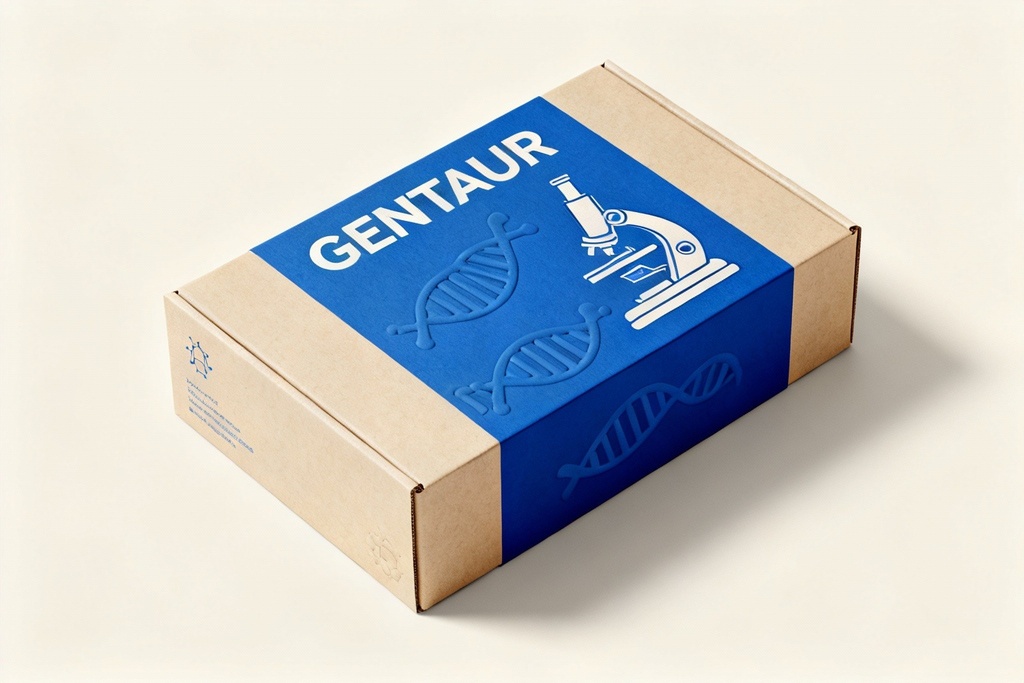 H. pylori Ag Rapid Test, Cs - 25 Тests/Kit